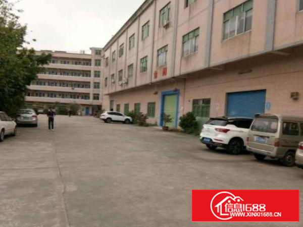 茶山上元村1出租900平米，带消防喷淋