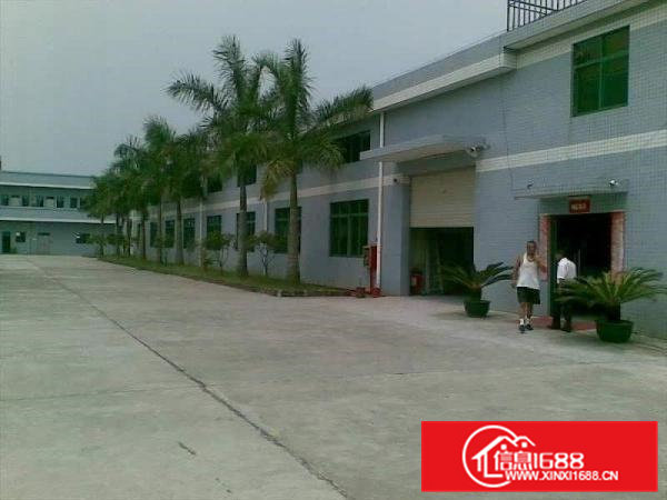 石排标准单一层1500平方厂房出租滴水7米