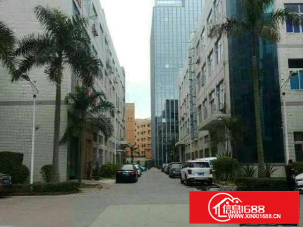 龙岗宝龙原房东二楼厂房2250平整层带装修招租(可分租)