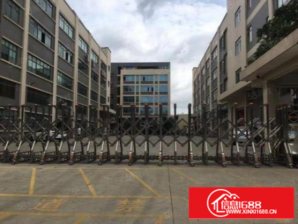 寮步原房东独院厂房上市公司有红本