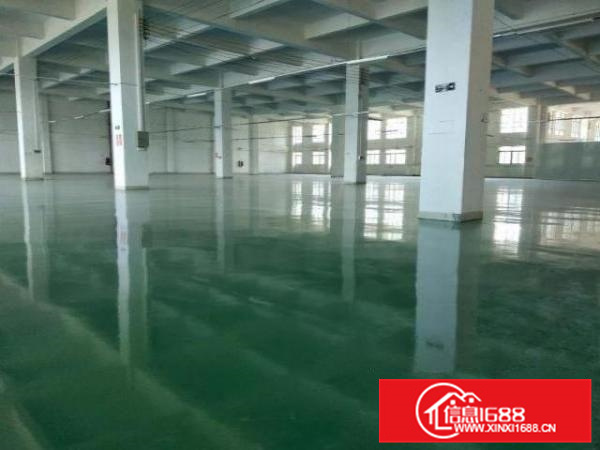 南庄绿岛湖边厂房2楼，2货梯、可分租、免费车位，无中介