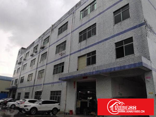 坪山碧岭沙湖新出独院标准厂房9300平整租16含税