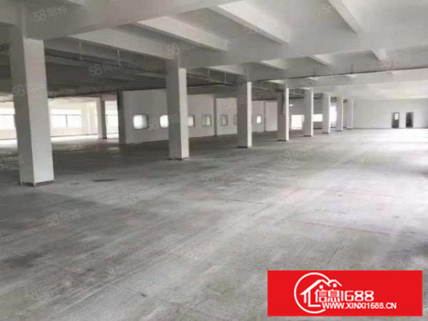 大浪商业中心附近独院5600平厂房出租可分租