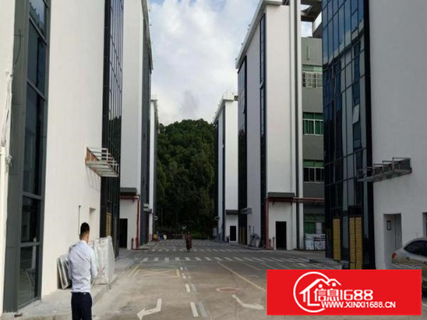 龙岗南联第五工业区楼上1860平可办租赁合同可分租