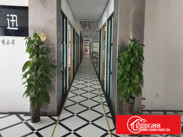 业主直租精装修厂房1500平可以分租价格19元可定