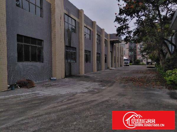 龙华大浪独门独院单一层厂房出租