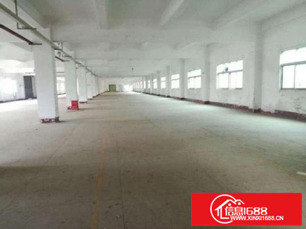 横岗安良独门独院厂房8920平米厂房出租