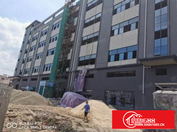 原房东一楼9米高带牛腿独门独院厂房出租工业用地环评包过