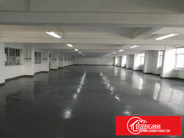 上沙新出楼上580平精装修厂房对外招租！