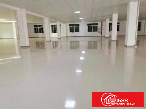 出租近广州化妆品、食品仓库，环评包过，证件齐全3000方招租