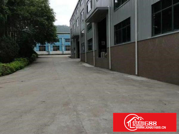 独门独户钢构单一层8000平方，高度9米