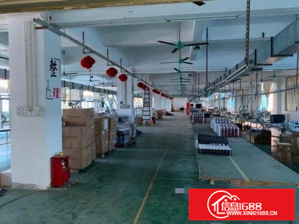 大朗新出独门独院厂房位置好形象佳价格可谈交通便利易招工