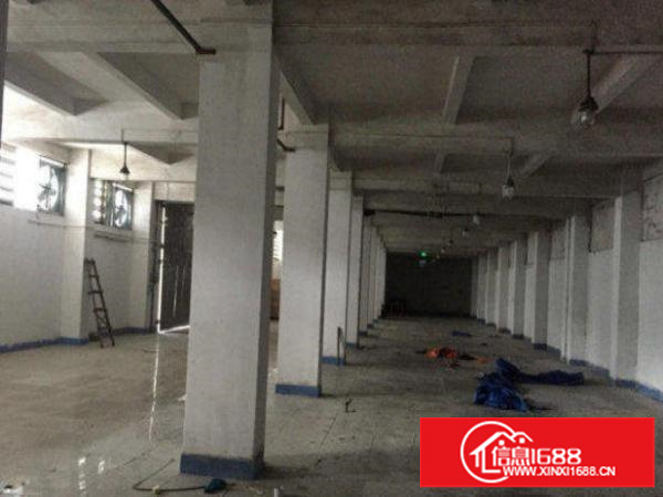 横岗189工业园一楼厂房600平米