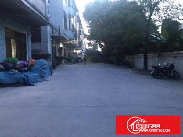 茶山镇经典独门独院3层厂房4200平方出租