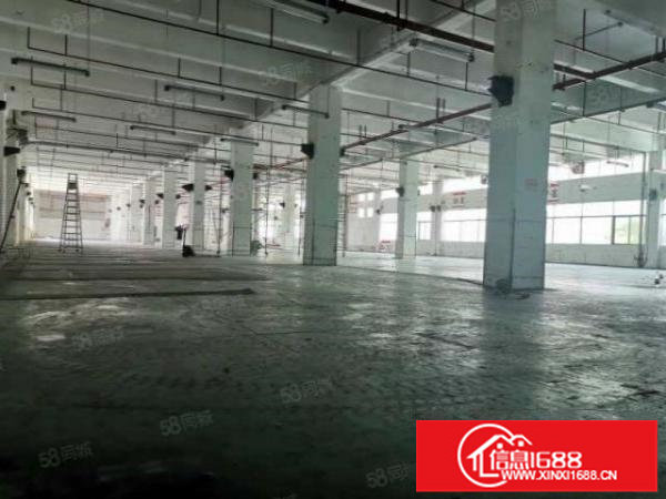 深圳宝龙工业区原房东1楼2楼各1980平米厂房出租，可以分租