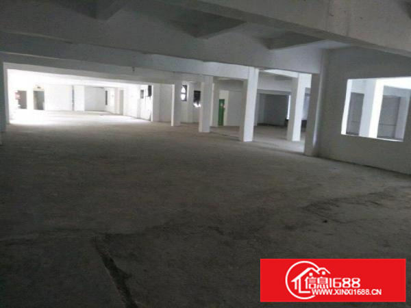 横岗西坑厂房5000平米