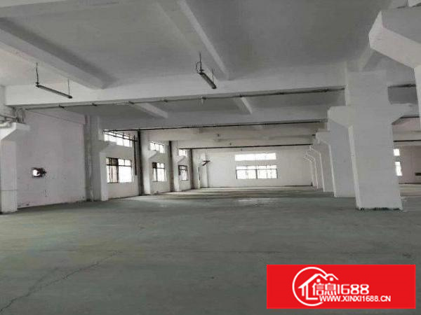 平湖杉坑工业区四楼新出来一整层1100