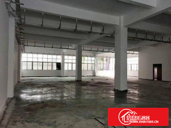 原房东标准厂房出租工业用地包办环评新墟