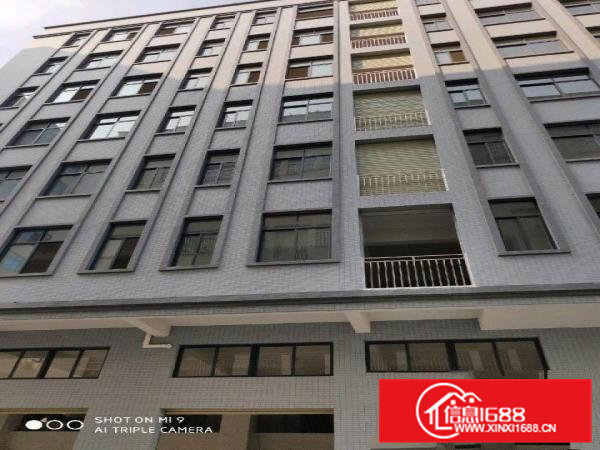 大井头盈丰二街一楼二楼厂房出租，