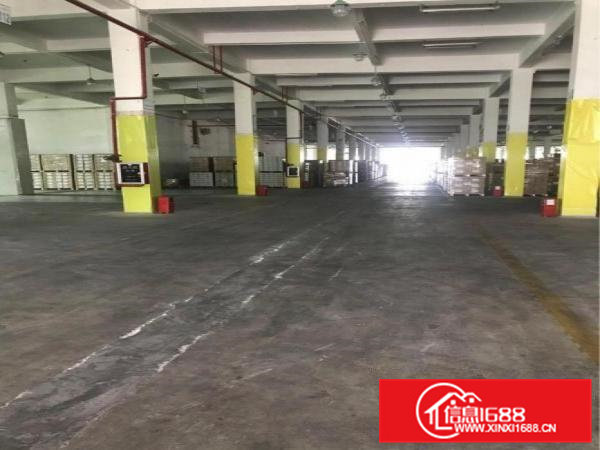 清溪近塘厦7米高一楼厂房4500平方低价急租