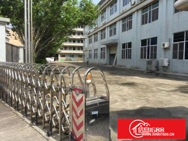 横岗189工业园标准厂房一楼1500平方带办公室装修