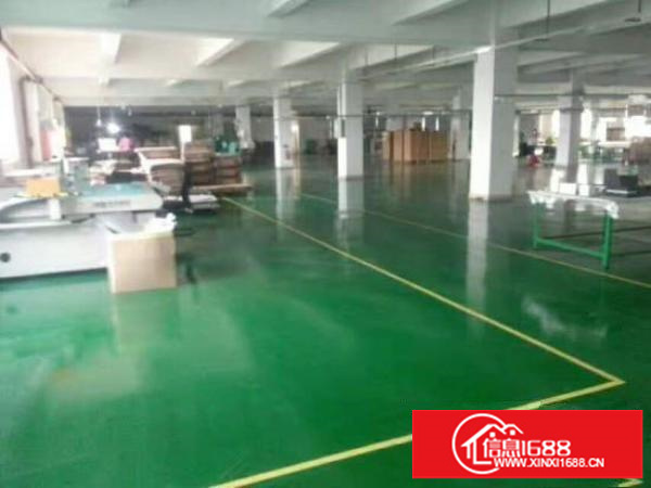 [坪山厂房]坪山石井新出436平独院标准厂