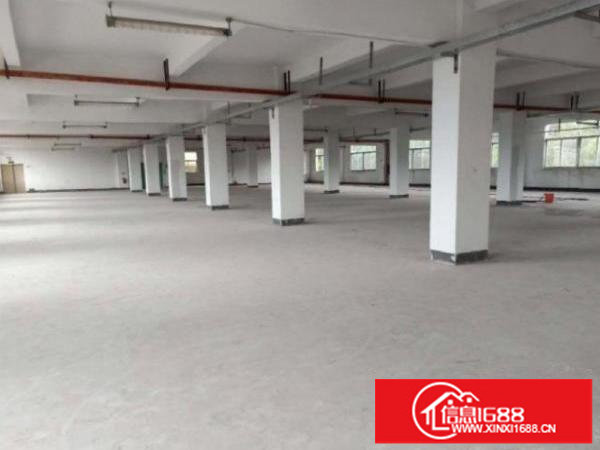 龙岗新生一楼1180平二楼560平厂房出租可分租