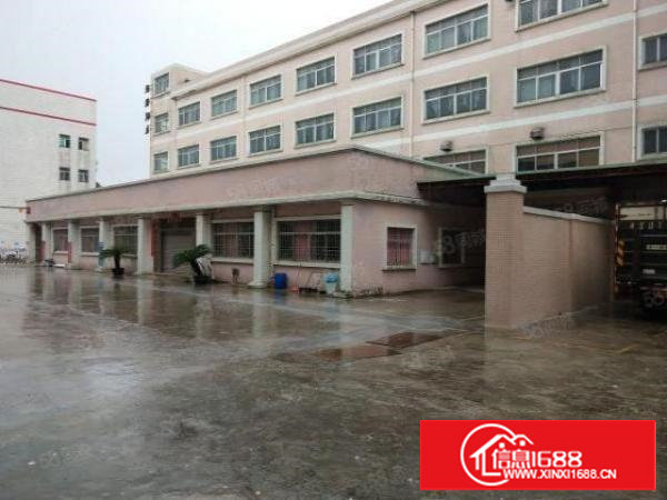 谢岗标准楼上整层1600平方出租可分租水电线路齐全