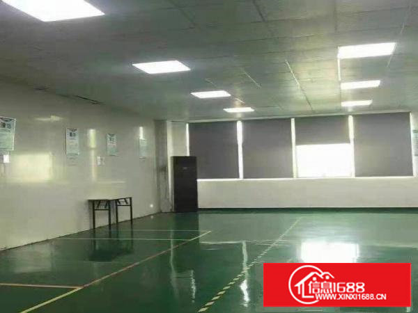 口罩客户福音！塘厦科苑城惊现楼上1500平方精装修无尘