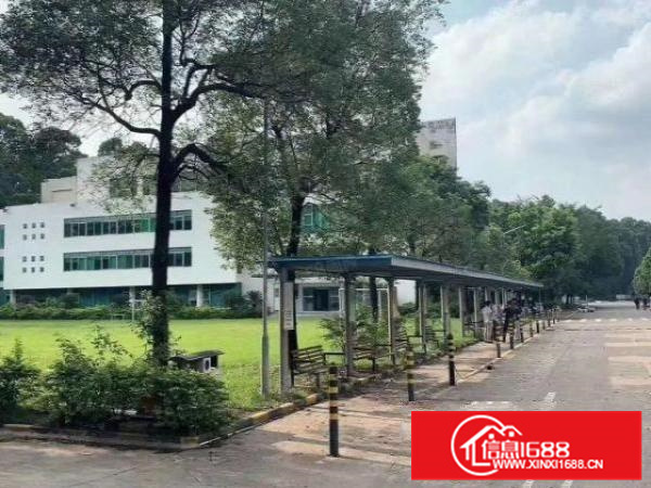 顺德区北滘镇红本工业用地34000大面积