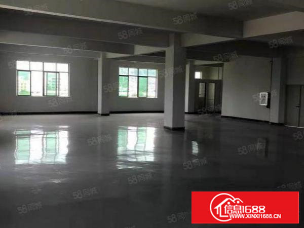 塘厦新出独院1196平米厂房出租，形象好!可整租可分租！