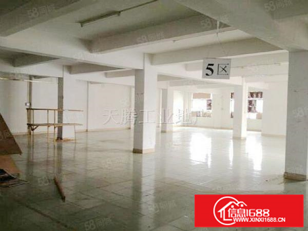 （出租）厂房陈村独院首层水泥结构仓库加工生产