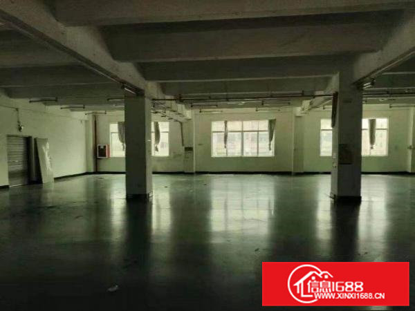 六甲九塑胶城旁新出原房东3楼带装修2680平标准厂房