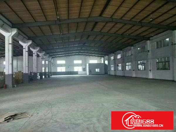 凤岗金凤凰钢构厂房2000平，带牛角，特价钢构！