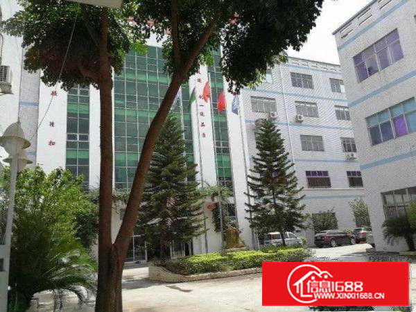 高端豪华装修3300平方中央空调办公设施一应俱全