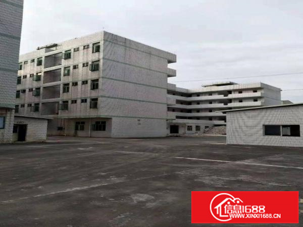 沥林25000平米独院厂房出租可分租