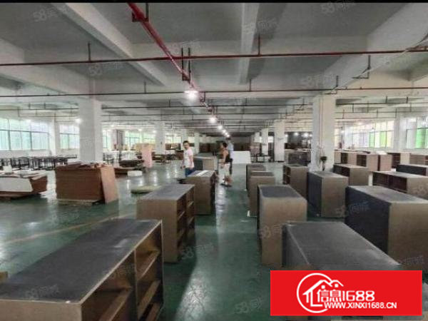 清溪原房东标准红本厂房2500平零公摊出租超大空地带地平漆