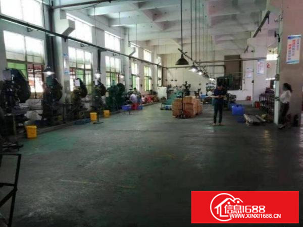 上洞一楼1200平方带牛角重工业厂房可分租600方