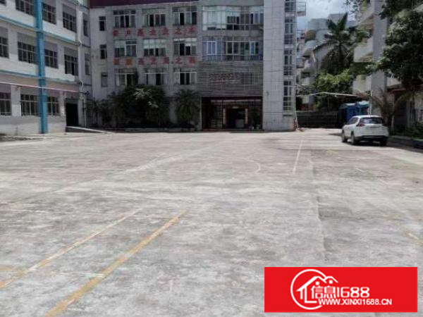 分租坪山区沙湖独门独院厂房一楼600平方，空地3000平