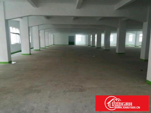 水电到位，可分400与800方两个单位，