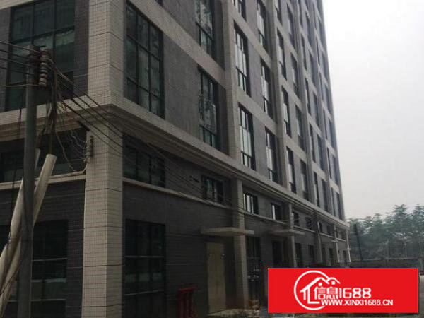 大岭山精装修科技园标准厂房面积1200平米