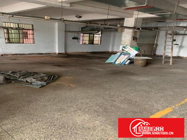 一手房东，小厂房出租，二，三楼，带电梯，380V电