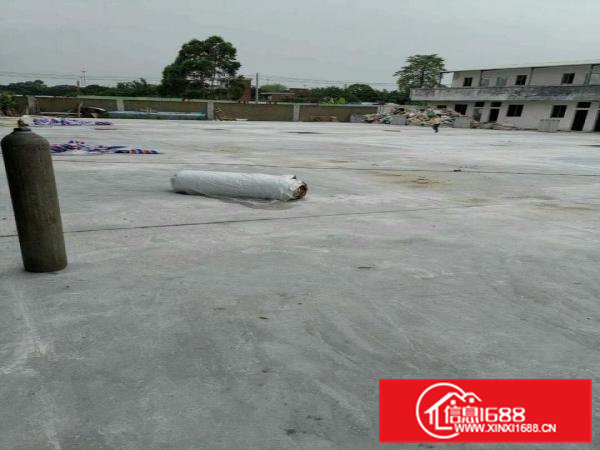 高埗新出全新单一层钢结构厂房1700平方出租