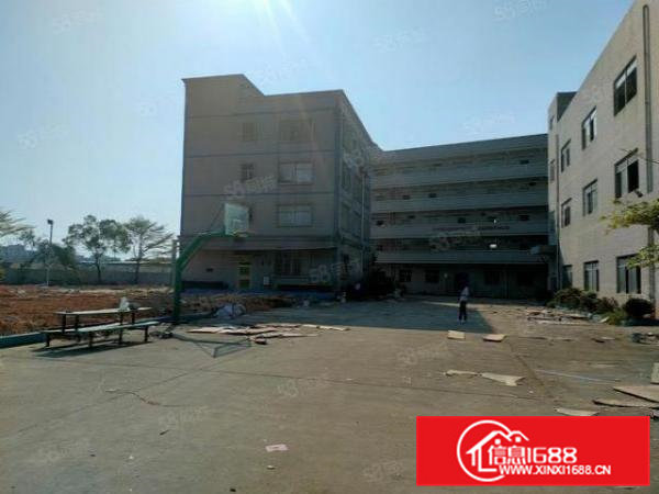 桥头新出标准独院厂房一万平方，工业用地，周围无居民