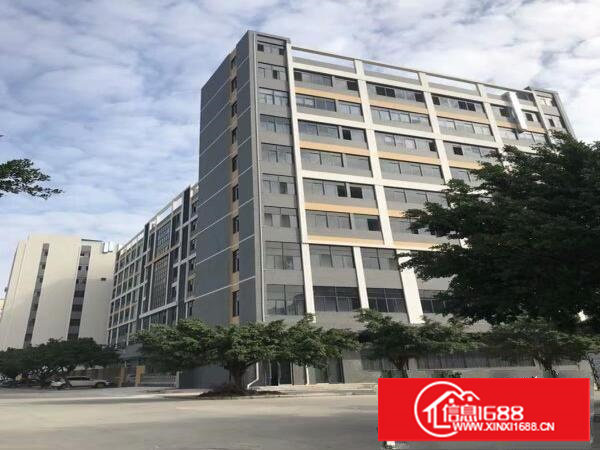 新出沙头南区整层1490平精装修楼上厂房