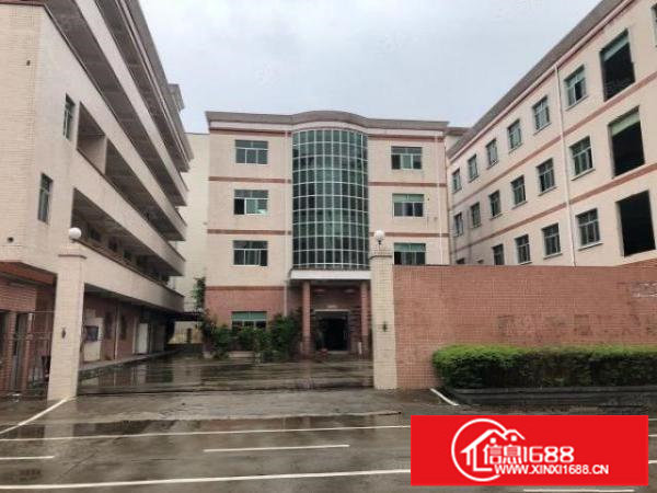 横岗新出原房东一楼500至1000平方招租