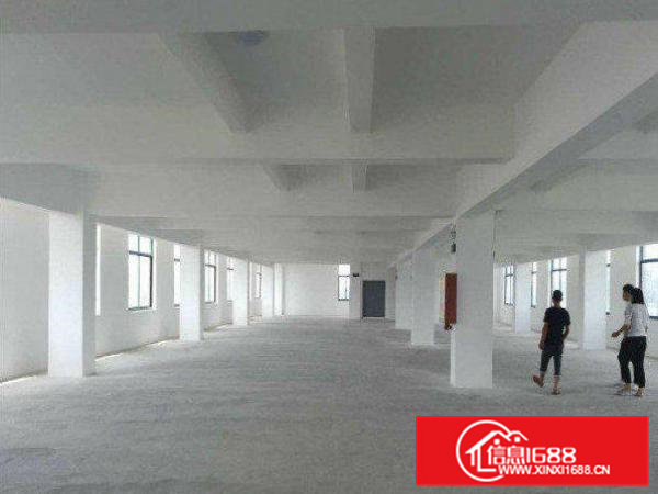 常平卢屋一楼600平方厂房空地大