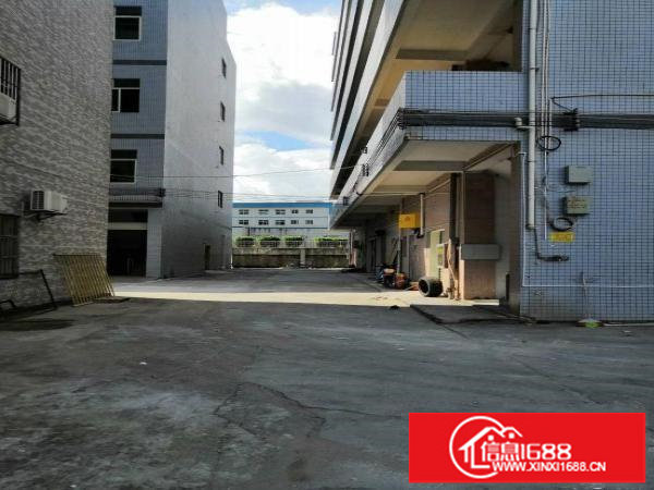 龙岗独院分层租厂房有电梯