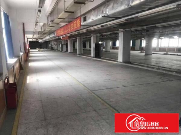 坂田五和一二楼厂房出租200平500平1000平可分租