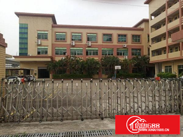 长安镇乌沙原房东豪华独院1至3楼4300平方火爆招租，无公摊